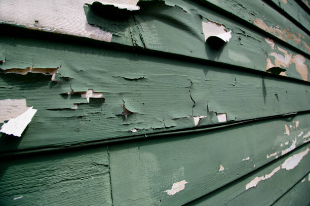 Best Property Management Cleanouts  in Ilion, NY