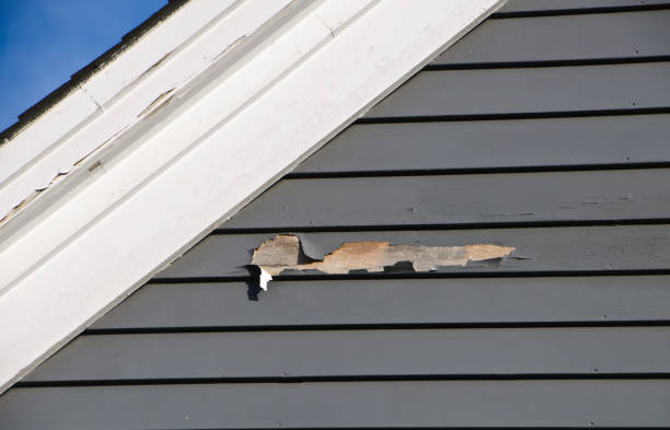 Best Property Management Cleanouts  in Ilion, NY