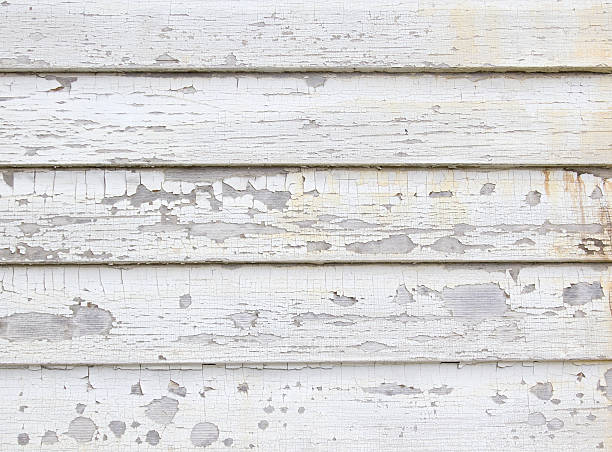 Best Shed Removal  in Ilion, NY