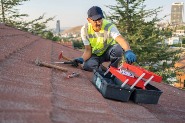 Best Yard Waste Removal  in Ilion, NY